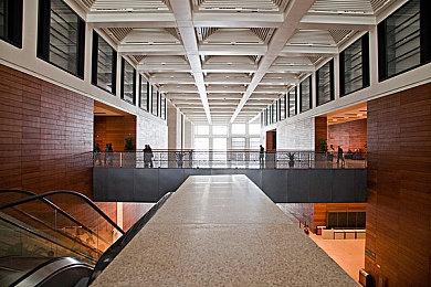 劳拉降临《黎明杀机》古墓丽影联动内容即将上线