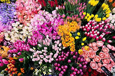 《超级巴基球》赛博竞技狂欢回归！国产团队力作4月24日开启限时免费试玩