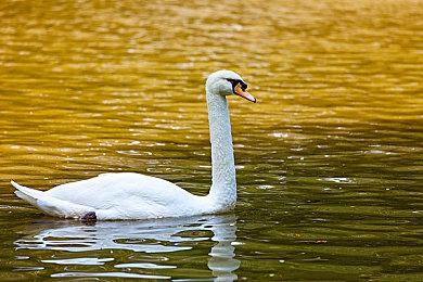 传《使命召唤18》首发24张地图 11月5日发售